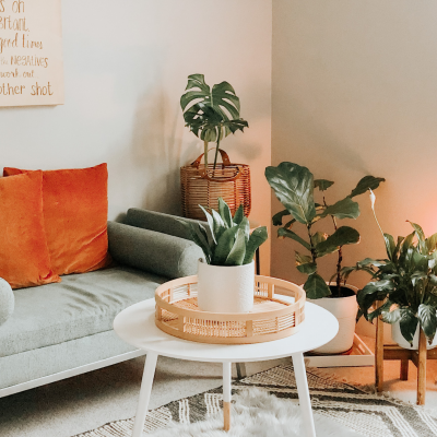 yehleen-gaffney-raxI_EcyfGw-unsplash 455 yehleen-gaffney-raxI_EcyfGw-unsplash 455